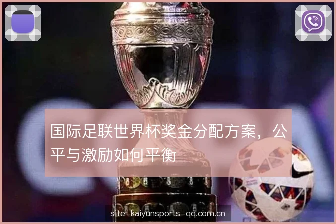 国际足联世界杯奖金分配方案，公平与激励如何平衡